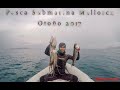 Pesca Submarina Mallorca - Otoño/Spearfishing in Mallorca - Autumn  - Josep Salom