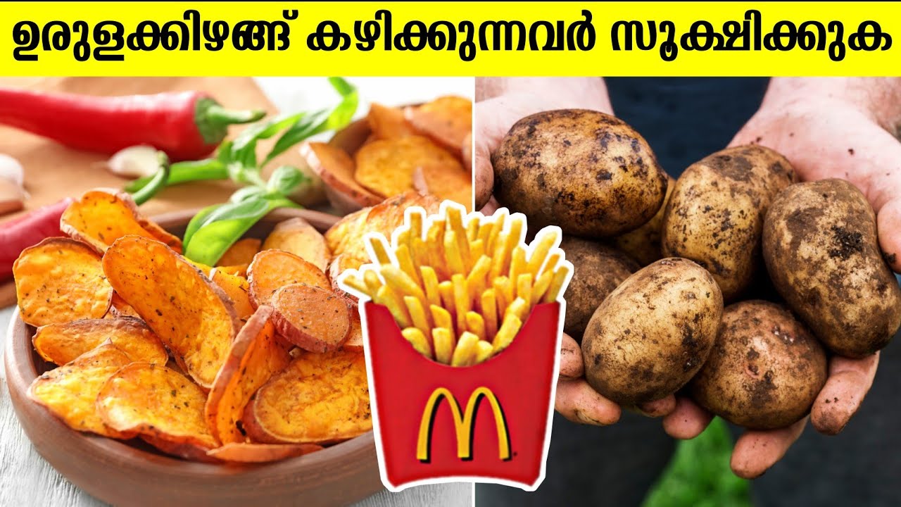 ഉരുളക്കിഴങ്ങിനെ സൂക്ഷിക്കുക 😱 Be Aware of Potatoes ! Explained In