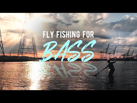 Fly Fishing For