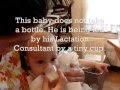 Cup Feeding a Breastfed Baby