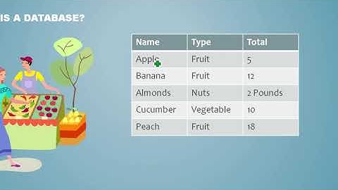 Oracle Database Tutorial 1  What is a Database