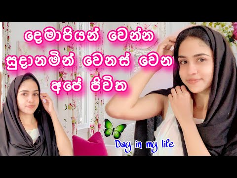 🍃කාමරේ ලස්සනට හදන ගමන්🌸වගකිම් දරන්නත් වෙන නිසා🥹සල්ලිත්💰වැඩිපුර උපයන්න අපි උනන්දු වෙන දවස්🍂#dailyvlog