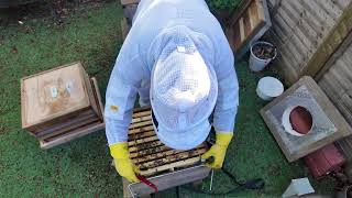 Inspection of hive 3 for the second time, were getting busy now as we approach summer