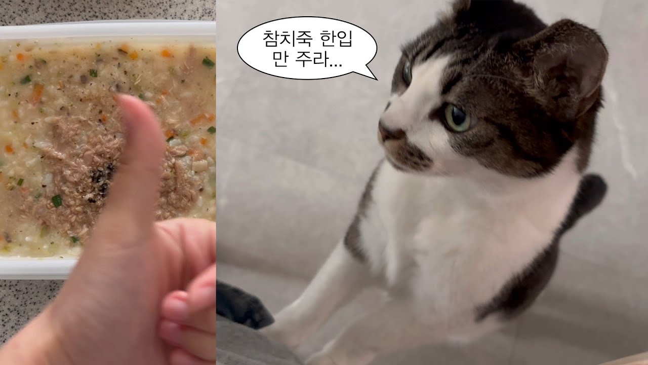 독감 걸려도 킵고잉하는 취준 브이로그💊 | a형 독감 확진, 대만 여행 기념품, 중견 기업 아르바이트