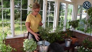 Trädgårdsingenjör Emma Berg tipsar om odling i Qvesarums Orangeri
