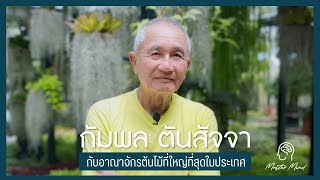 เปิดกลยุทธ์ "อีกนิดหนึ่ง" ของผู้บริหารสวนนงนุช พัทยา สวนสวยติดอันดับโลก | Master Mind (EP.3)