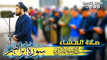 عشائية جميلة-تلاوة رائعة| سورة ابراهيم |بصوت القارئ رعد الكردي|حالات واتس اب قرآن