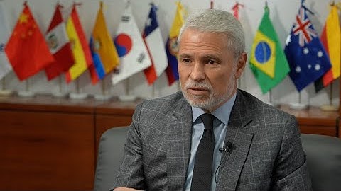 Peruvian official shares insights on exports to China
