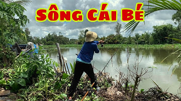 Câu Cá Tra Sông - Lần Đầu Đi Câu Cá Tra Ở Sông Cái Bé | Fishing - Miền Tây