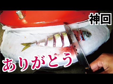 【神回】アジのぶつ切り釣りで堤防裾からとんでもない怪物があがってきた（637話目）