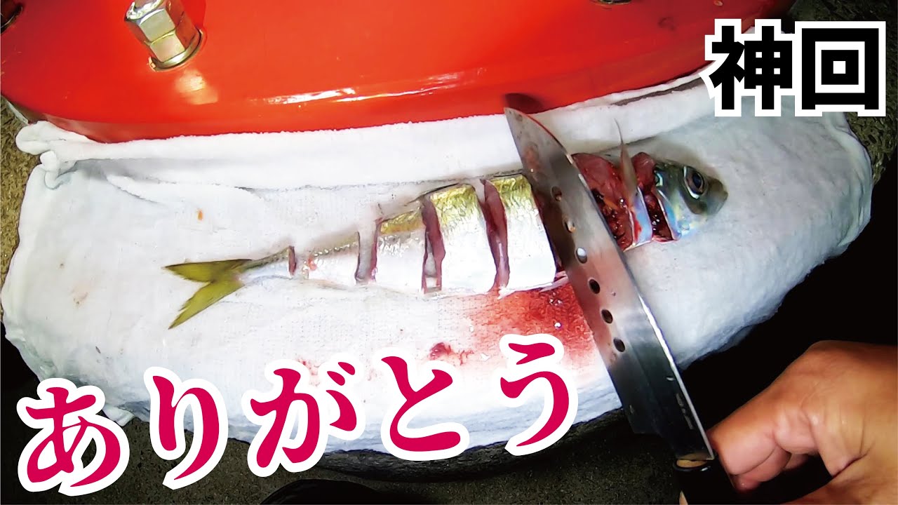 鯨を釣り上げた Best episode] An incredible monster was pulled up from the