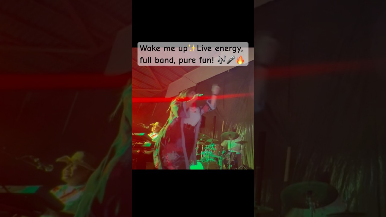 Wake Me Up (Avicii) Live Cover 🔥 | Flugmodus Partyband Schweiz / Live Music Switzerland 🎤🎶