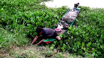 Chiều buông xuống trên đồng ngập nước vào mùa nước nổi - An Hảo, Tịnh Biên, An Giang 28/09/2018