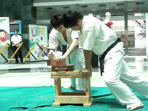 Budokan Brick Breaking