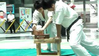 Budokan Brick Breaking screenshot 5