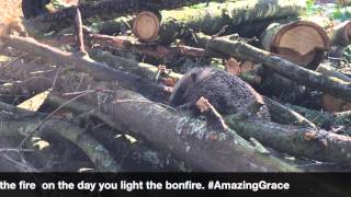 Brian May - #AmazingGrace Hedgehog Challenge (Fact 103) Net Worth