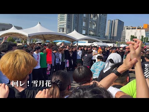 【肉フェス 2024】「回レ！雪月花」 - 歌組雪月花【オタ芸】アニメ「機巧少女は傷つかない」ED  DJ パルム やぐら お台場　Meat Fes #俺庭