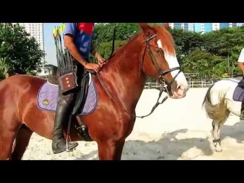 Video: Hypoallergenic, Kesihatan Dan Jangka Hayat Sukan Kuda Hungaria