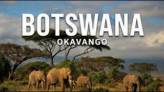 OKAVANGO: The Hidden World That Elephants Built | 4K Nature Documentary