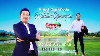 ANIBAL CASTAÑEDA_Huanchaquito Herido_Primicias 2023-2024_Official Youtube