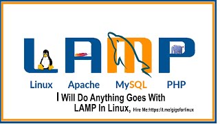 I Will Do Anything Goes With LAMP in Linux