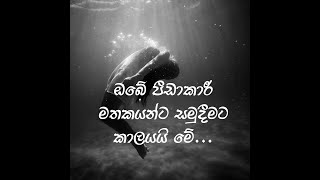 වේදනාබර මතකයන්ගෙන් නිදහස් වෙමු| Let go of Painful Memories| Counseling Sinhala (With English Sub)