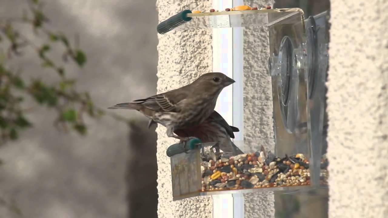 Sherwoodbase Website Video