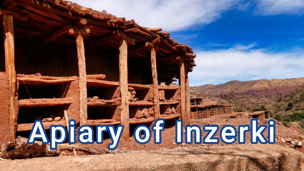 Apiary of Inzerki - YouTube