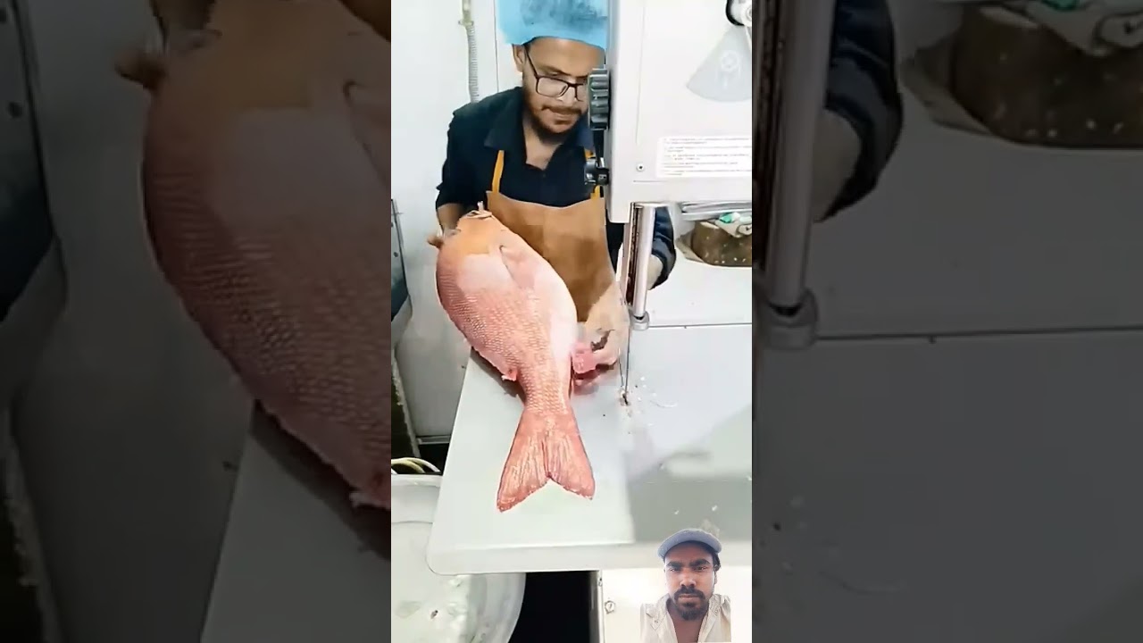 #fishcutting