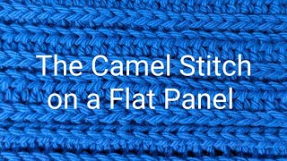 Lets Learn The Camel Stitch on a flat panel