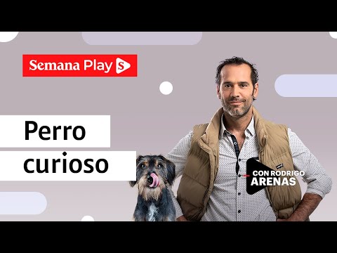 ¿Cómo educar a un perro curioso? | Rodrigo Arenas