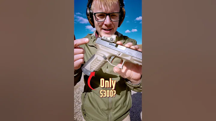 Best BANG For BUCK Handgun in 2024? ($300)