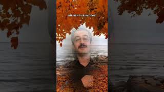 Kusursuz Dost Arayan