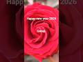 Happy new year 2026 Home 🏡 garden er Golap full er #shortvideo