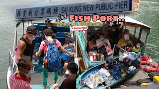 PUBLIC PIER & FISH PORT AT SAIKUNG | HONGKONG | Isay's Journey