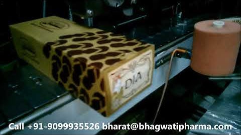 Filled Boxes Side Sticker Labeling Machine with conveyor (Trail)