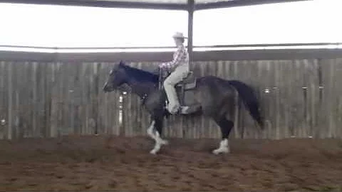 PISTOL and VICTORIA CLINE