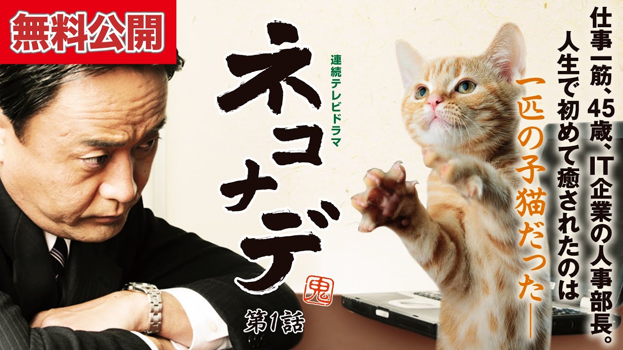 ねこタクシー 映画『ねこタクシー』予告編 - YouTube