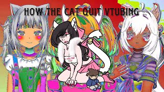 (MINI COMMENTARY) Why I Quit VTubing