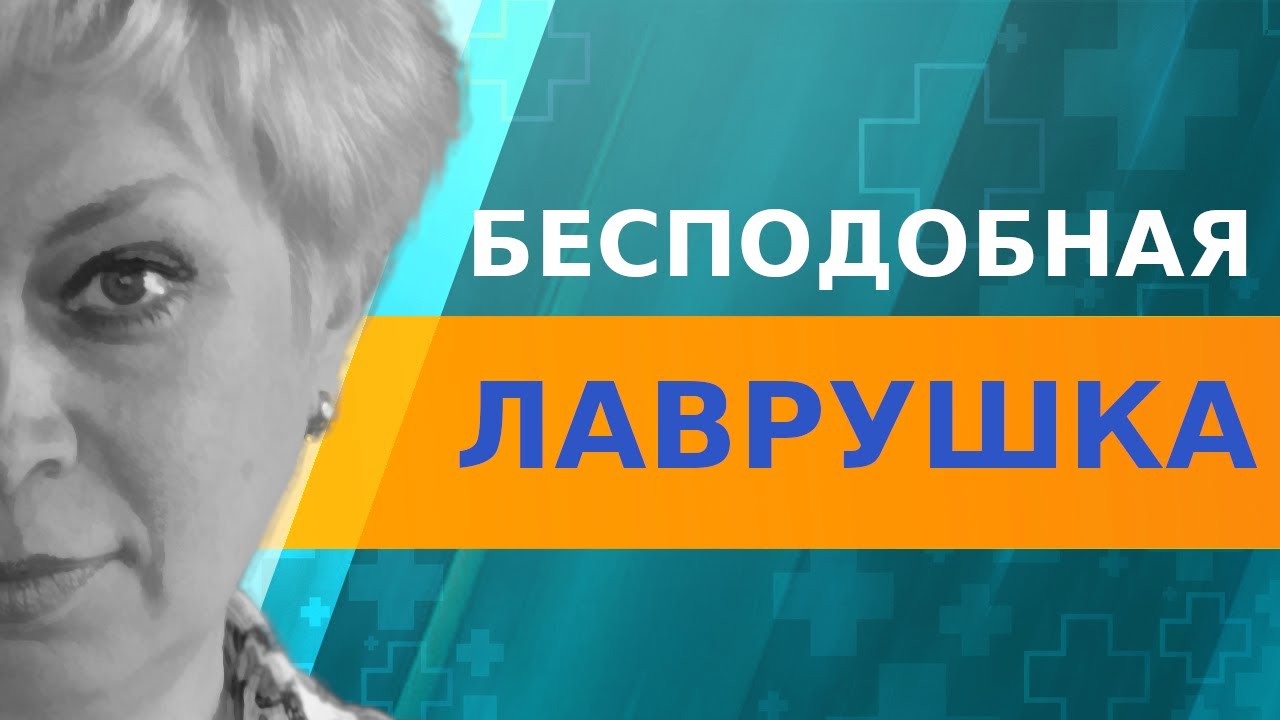 Польза лавровых листьев
