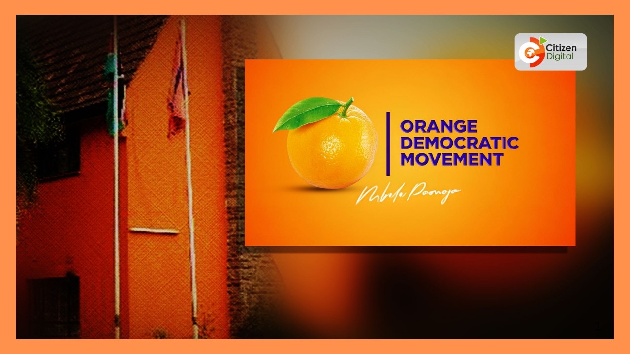 ODM Linda Ground Rally at Tononoka Grounds, Mombasa