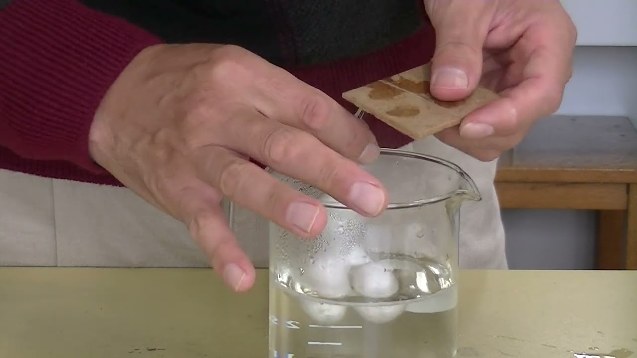 How to Extract Silk Thread from Silkworm Cocoons - YouTube