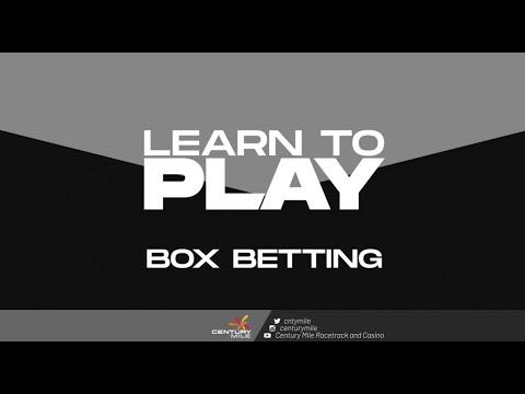 What Is A Power Box In Horse Racing