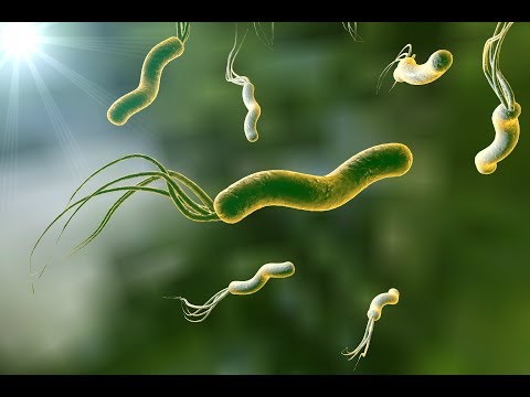 Видео: Бактериите убиват почиващите - Алтернативен изглед