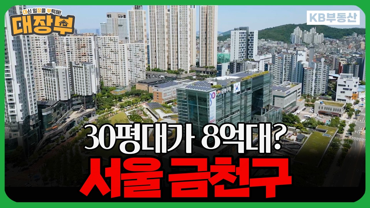동영상 재생