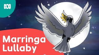 🌕 Journey across Country and dream of all the animals ✨ | Marringa Lullaby | ABC Kids
