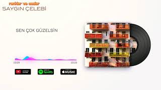 Saygın Çelebi - Sen Çok Güzelsin (Albüm versiyonu) Resimi