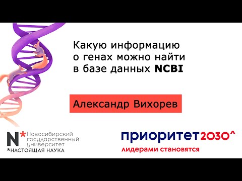 BD2. Какую информацию о генах можно найти в базе данных NCBI