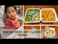 What my toddler eats in a week - Tuesday | 幼儿餐一周记 - 周二