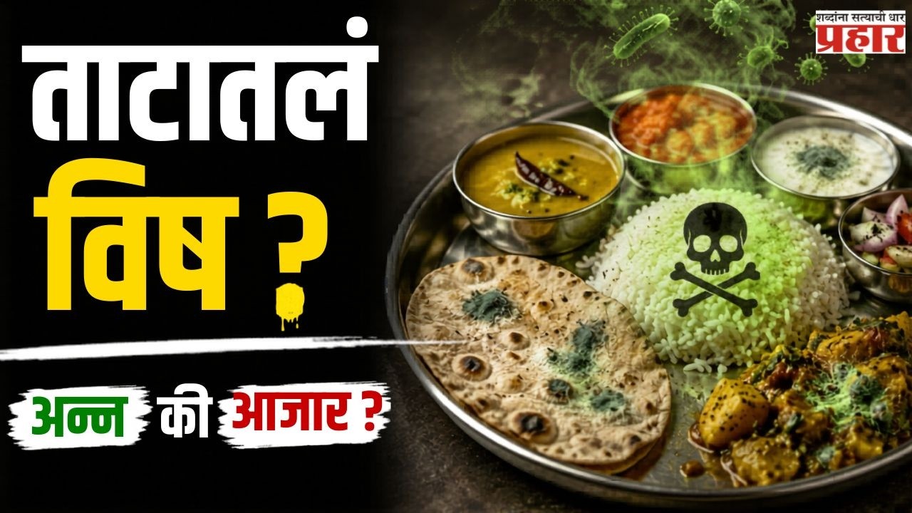 Is Your Food Safe | तुमचं अन्नच बनतंय आजारांचं कारण? अन्न सुरक्षेबाबत हे सत्य जाणून घ्या!
